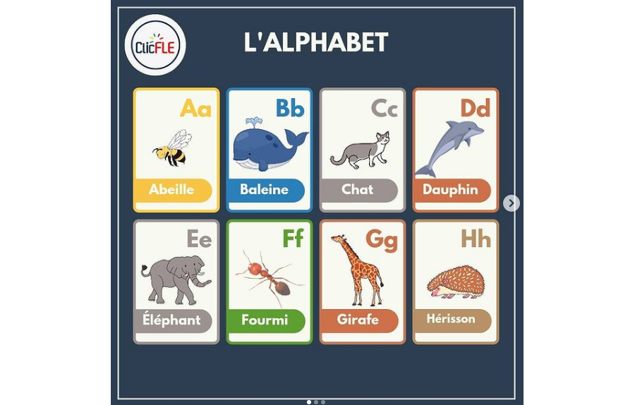 L'alphabet des animaux