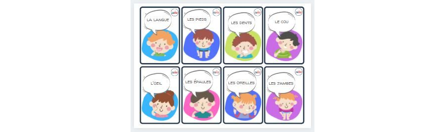 Flashcards - les parties du corps